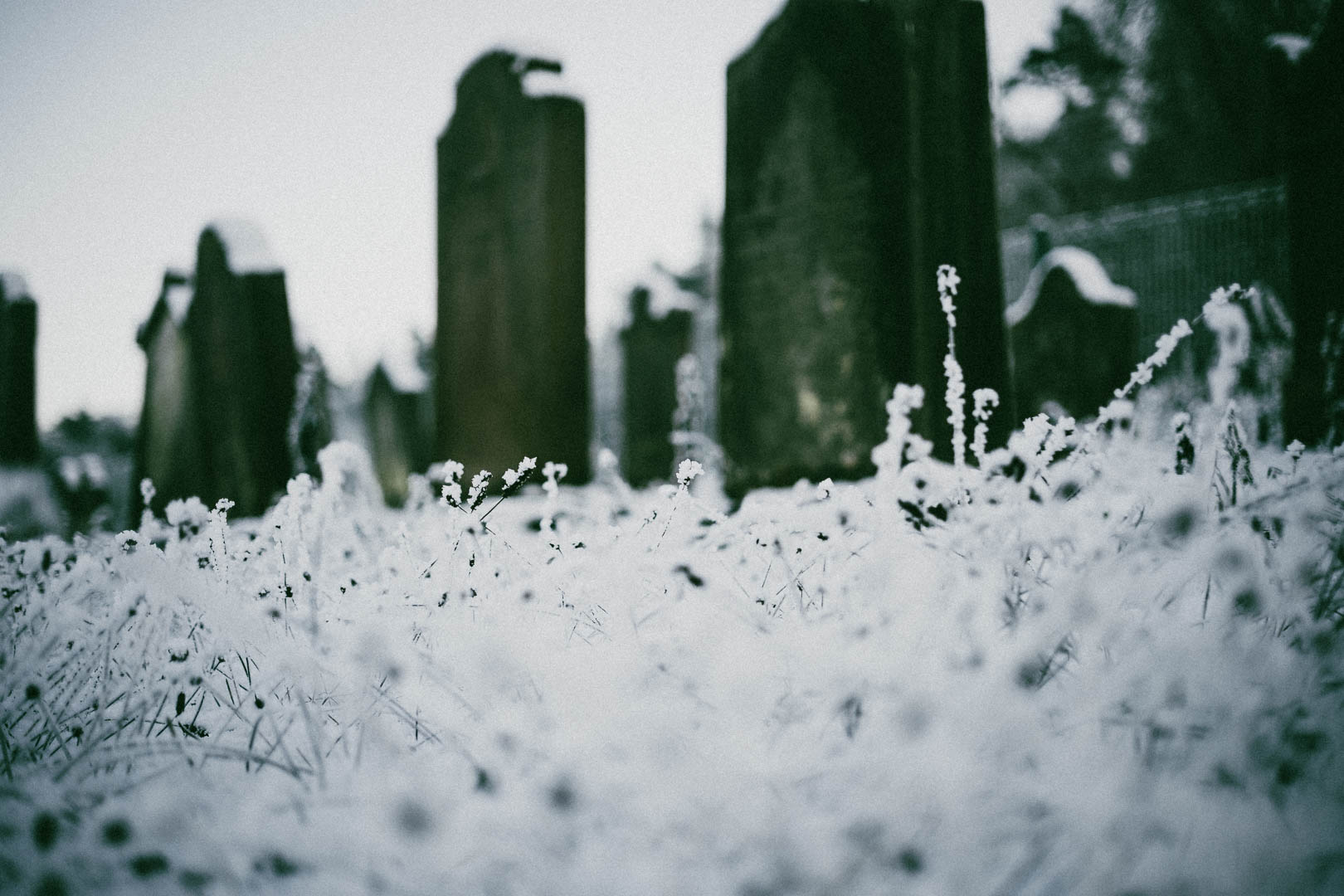 Binsförth, Jüdischer Friedhof